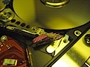 IMG_6687